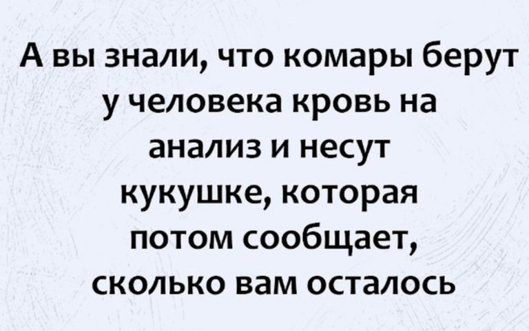 Юмор за день и внезапная правда о комарах