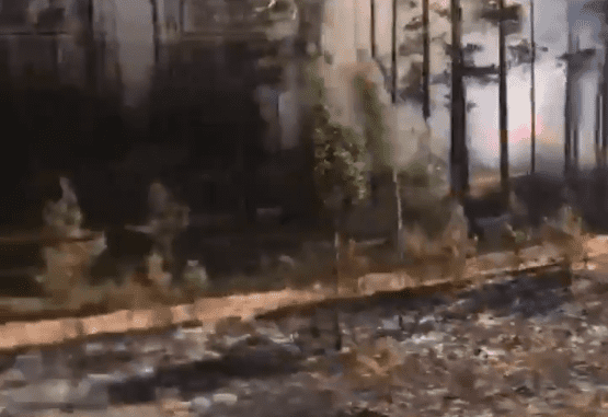 ВИДЕО: в Сигулдском крае тушат несколько очагов возгорания сухой травы у железной дороги