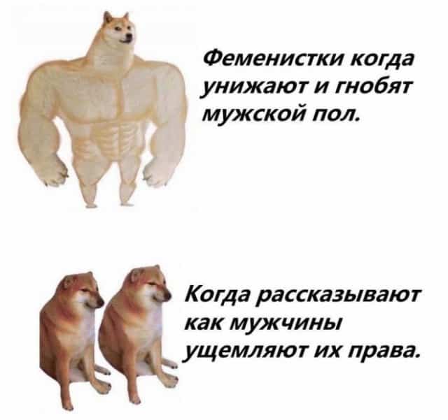 Приколы и мемы про феминисток и всяческий бодипозитив