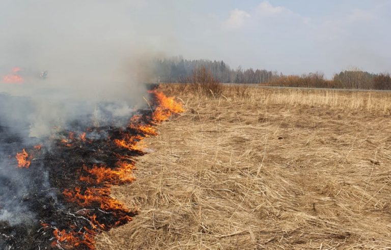 В Латвии сохраняется высокая пожароопасность