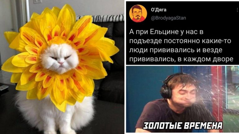 Калейдоскоп картинок и мемов на позитивной волне