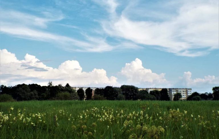 Погода на пятницу: местами дождь с грозой, желтое предупреждение о жаре