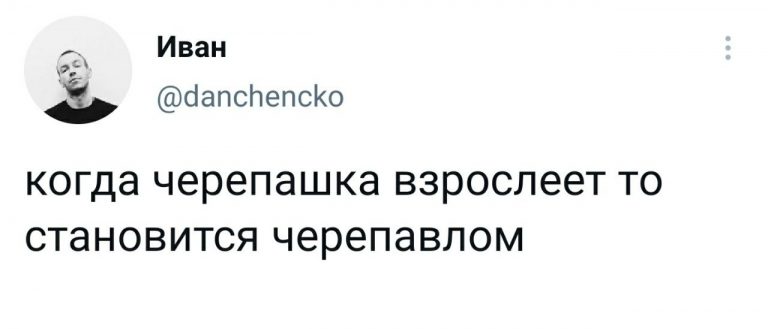 Юмор за день и черепавел