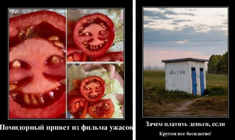 Забавные жизненные демотиваторы для хорошего настроения
