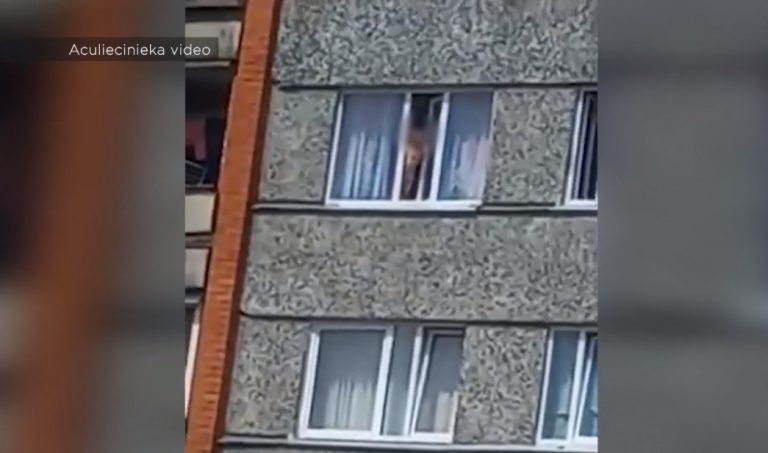 В Елгаве малыш стоял на подоконнике, рискуя выпасть из окна (ВИДЕО)