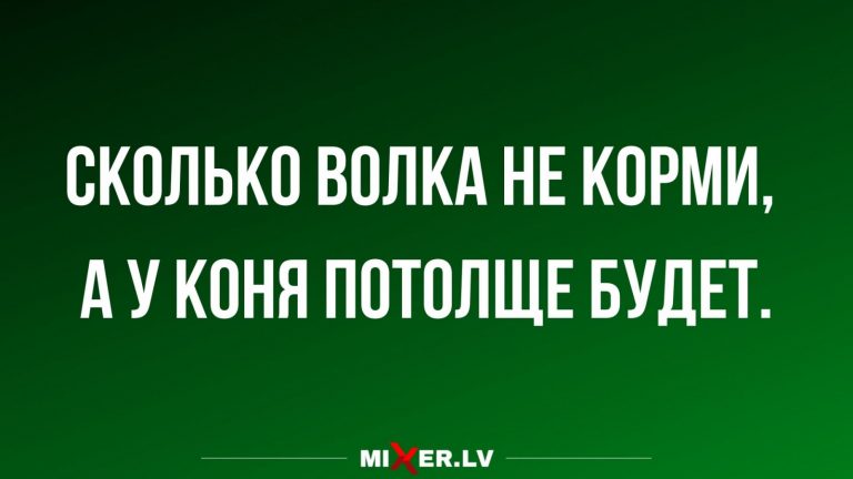 Юмор за день и кони