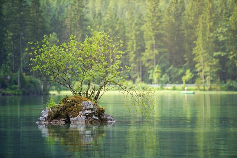 В инспекции рассказали, как проходят проверки качества воды в местах для купания