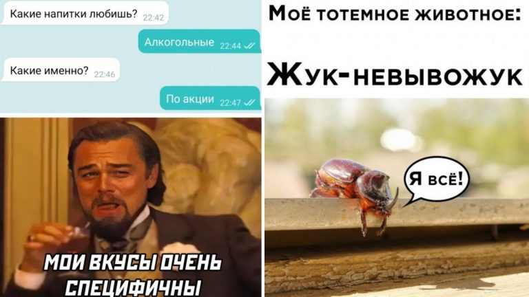 Фото приколы с мемами в субботу и жук — невывожук