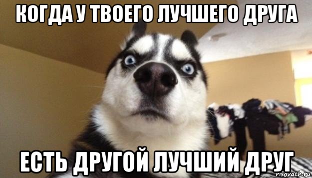 10 причин завести себе друга Овна