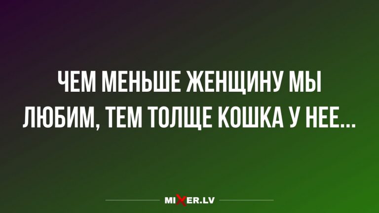 Юмор за день и толстая кошка
