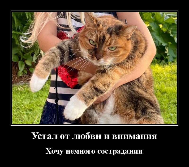 Демотиваторы на злободневные и вечные темы