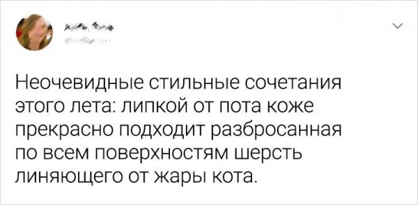 Коллекция твитов навеянных жарким летом и духотой