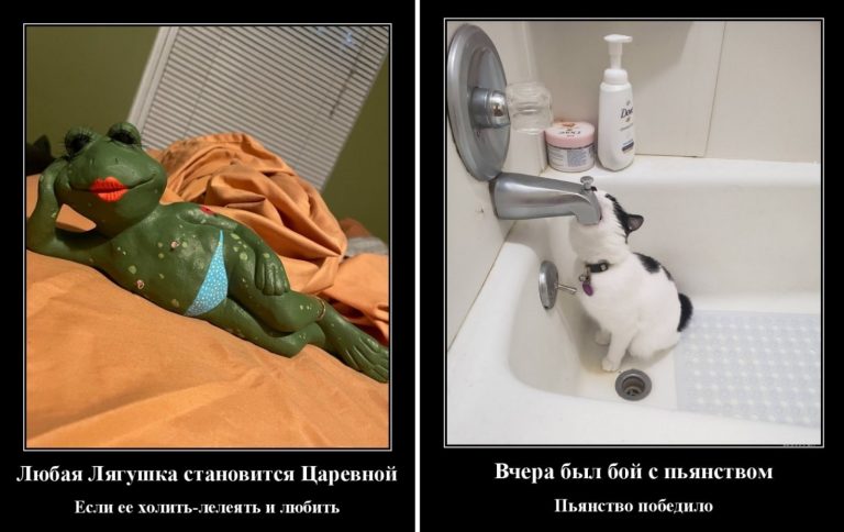 Демотиваторы свеженькие и Царевна лягушка