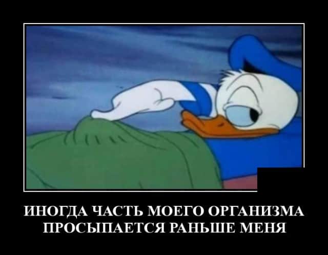 Демотиваторы новенькие и когда проснулся раньше всех