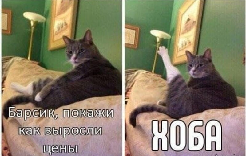 Налетай пока подорожало — пользователи интернета шутят на тему взлетевших цен