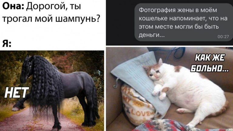 Фото приколы за сегодня и когда ты взял её шампунь