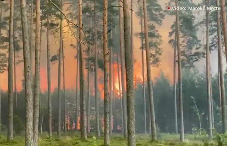 ФОТО и ВИДЕО: в Гаркалне выгорел лес на площади 21 га. Огонь удалось локализовать (ДОПОЛНЕНО в 18:23)