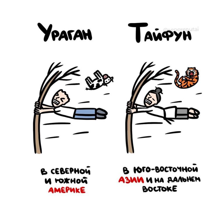 Чем отличается ураган от тайфуна и прочие слова, которые часто используют неправильно