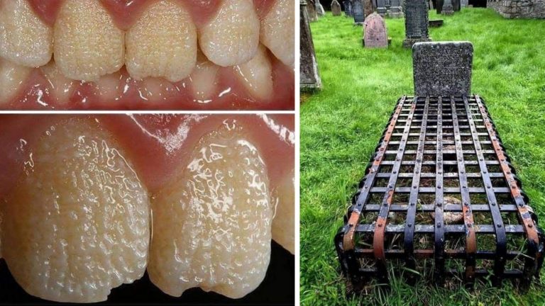 15 фактов в фотографиях с миру по нитке, о которых вы не знали
