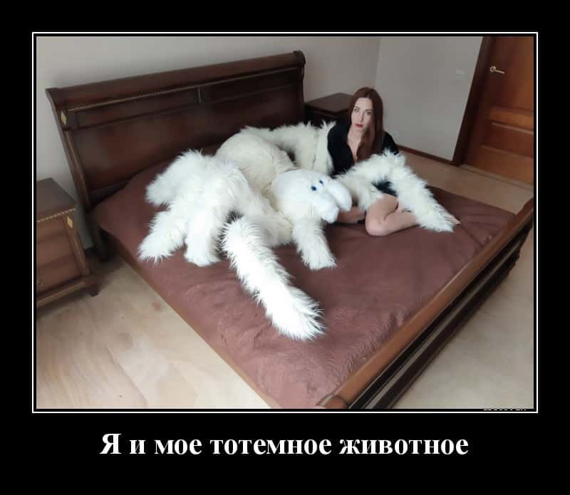 Демотиваторы: о актерском таланте, мечтах и отпуске