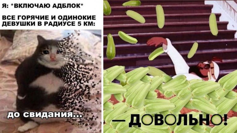Мемы с утра пораньше и кабачки