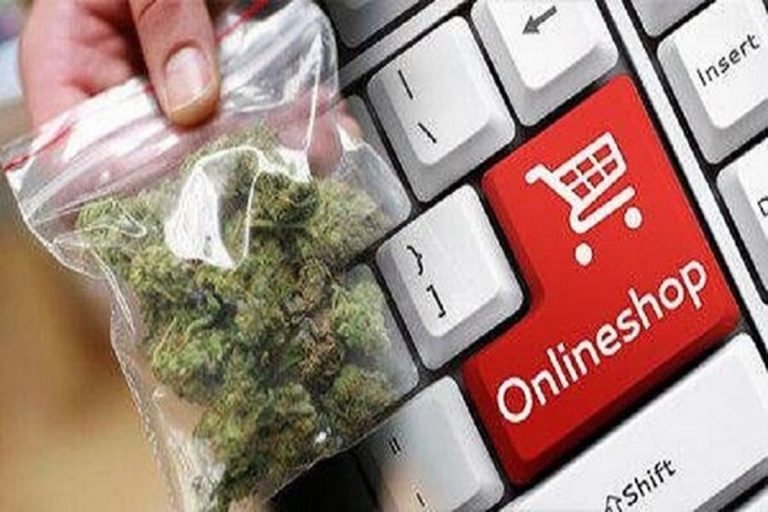 Владельцем крупнейшего сайта по торговле наркотиками в СНГ оказался гражданин Латвии