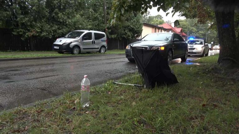 В Пардаугаве водитель Audi сбил перебегавшую дорогу девушку. Ищут свидетелей (ВИДЕО)