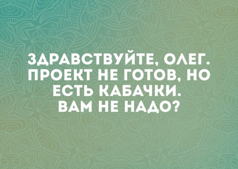 Юмор за день и кабачки