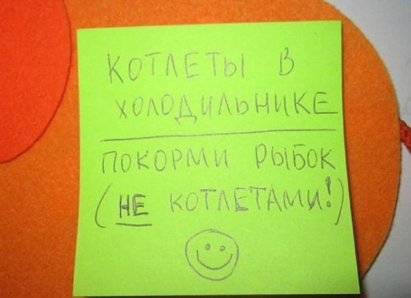 Рыбок котлетами не кормить и ещё 16 остроумных записок от домашних