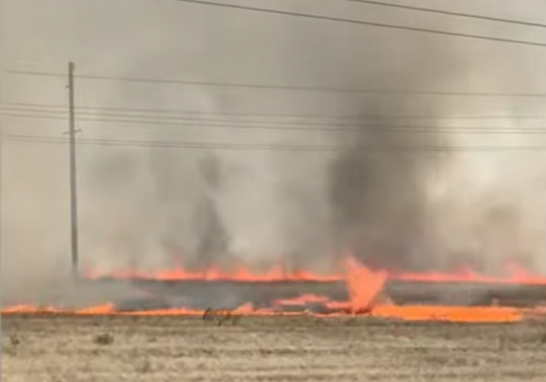 ВИДЕО: в Башкирии из-за пожаров образовалось огненное торнадо