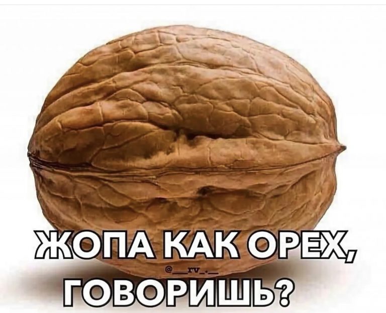 Юмор за день и орех