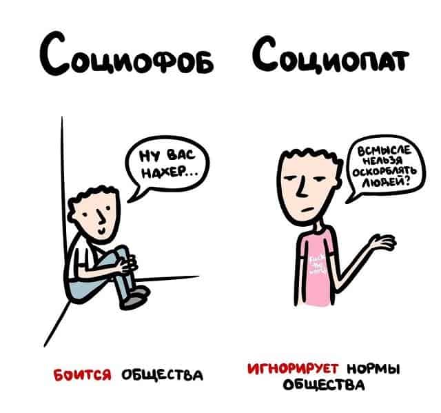 В чем разница между социофобом и социопатом и другие интересные подсказки