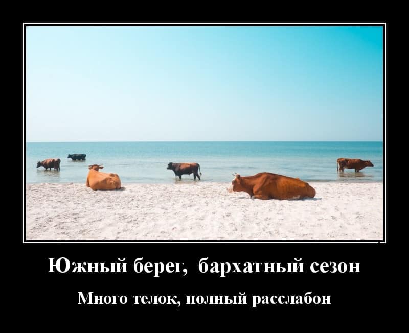 Демотиваторы за сегодня и бархатный сезон