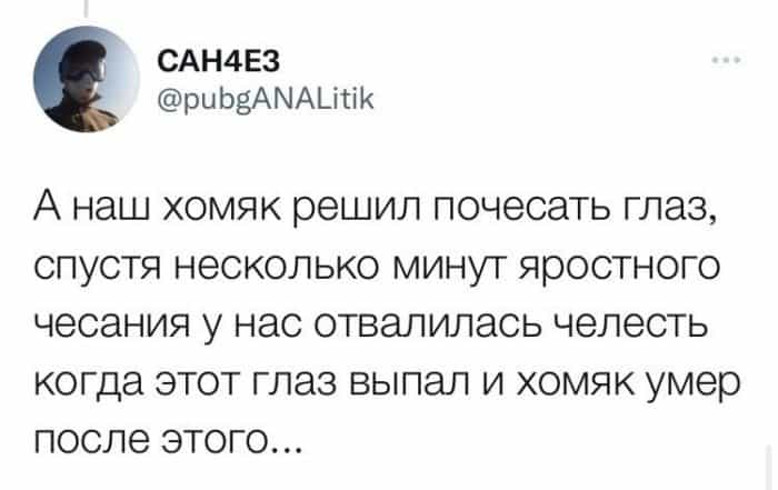 Как уходят хомяки: в сети рассказали о трагедиях маленьких грызунов