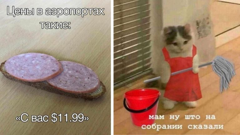 Свежие мемы и картинки поднимающие настроение