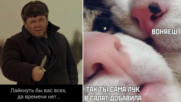 Полайкал бы вас всех в нашей подборке смешных картинок с надписями
