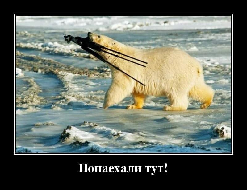 Демотиваторы для тех, кто хочет улыбашек