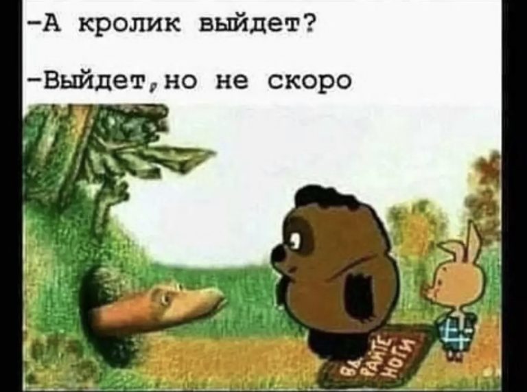 Юмор за день и кролик