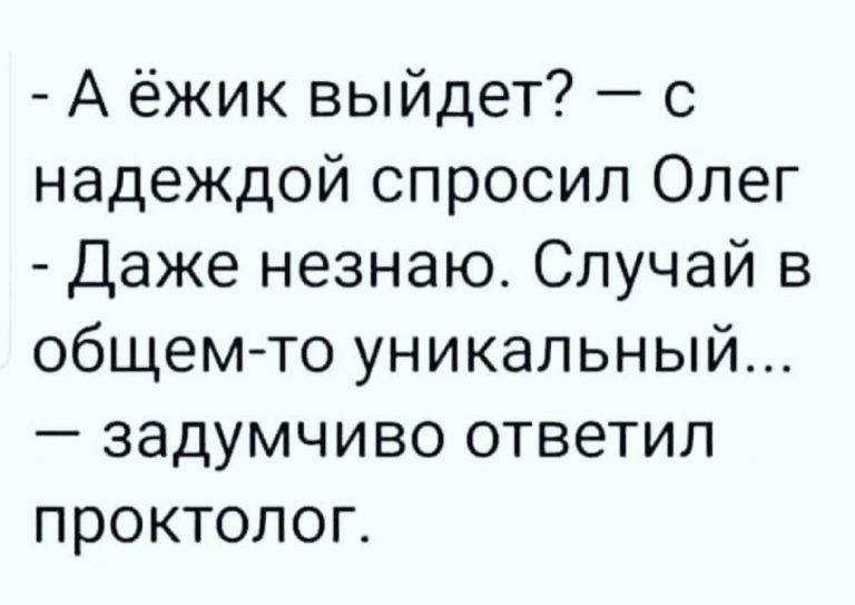 Юмор за день и ежик