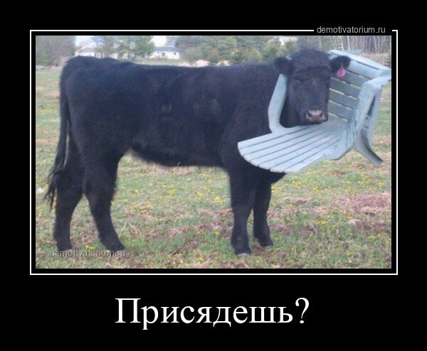 Демотиваторы на злободневные и вечные темы