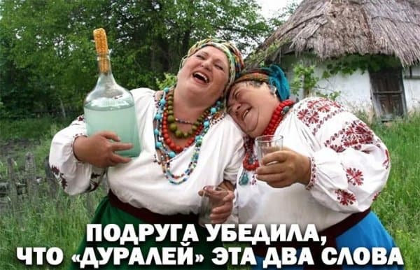 «Дуралей» это два слова, а не одно — пост алкогольного юмор на выходные