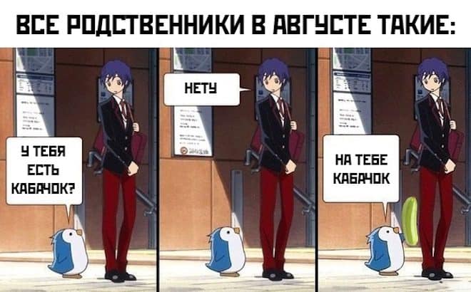 Мемы от 9 августа и кабачки со всех сторон