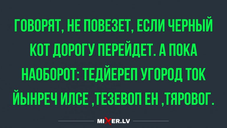 Юмор за день и черный кот