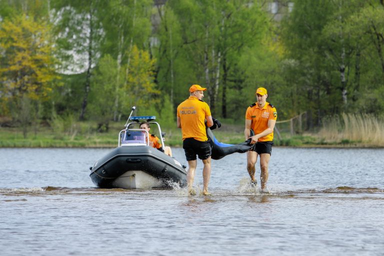 В Сейме обсудят вопрос безопасности на воде
