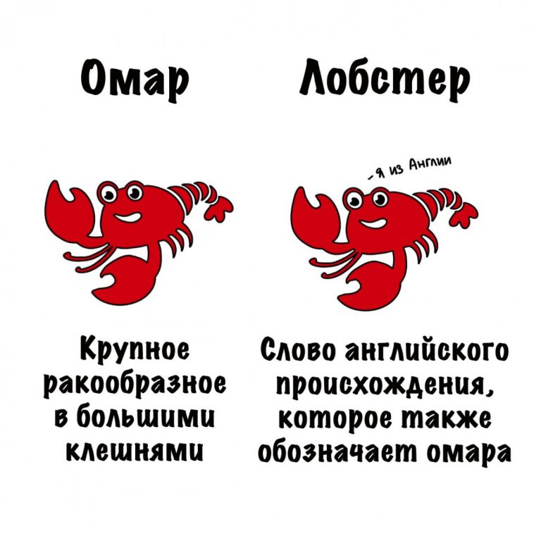 Разница между омаром и лобстером и прочая полезная информация в картинках