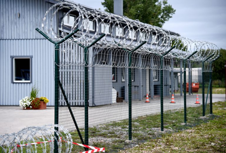 Колючую проволоку для границы с Беларусью закупят за полмиллиона евро