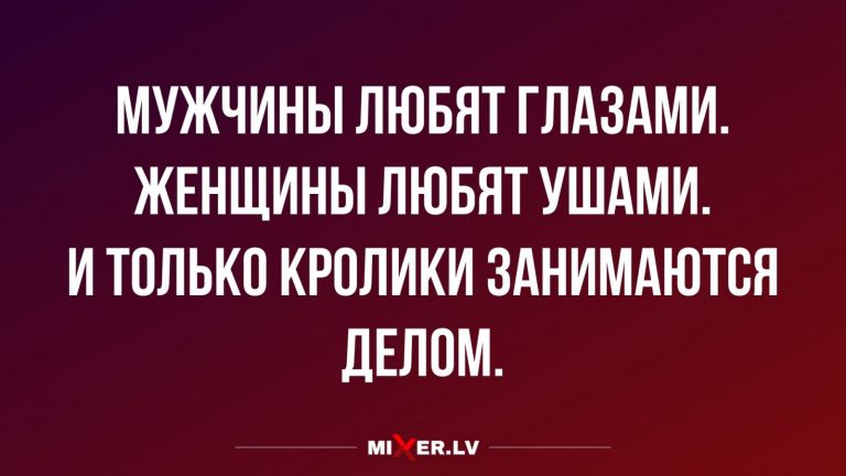Юмор за день кролики
