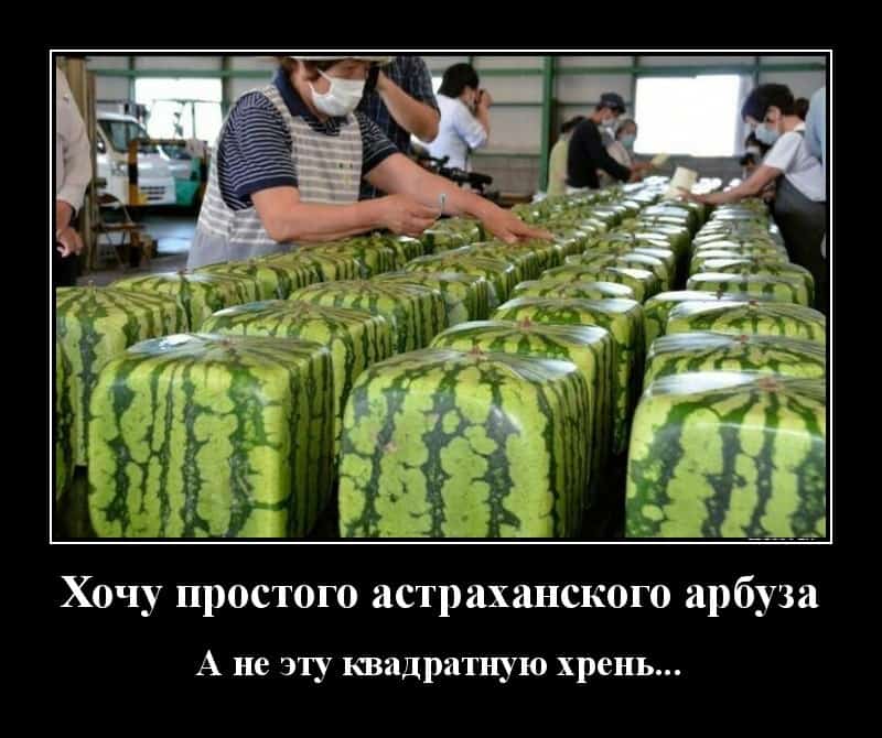 Новые демотиваторы и арбузы