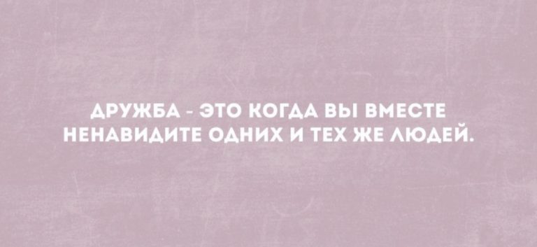Юмор за день и дружба