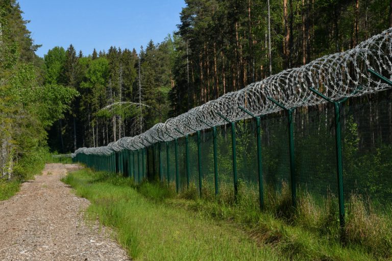 В понедельник пограничники не пропустили в Латвию 16 «нелегалов»